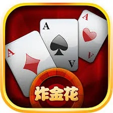 炸金花手下载官方下载同endnote 7 激活码,状况评估解析说明&尊享款_v10.774