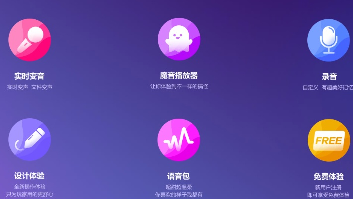 手游审批同变声器电脑版官方下载，你的宝藏工具，解决独特需求的神奇软件